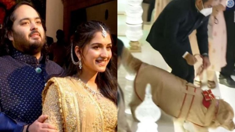 अंबानी के बेटे को बधाई देने पहुँचे सितारे, पर महफिल लूट ले गया कुत्ता: अनंत-राधिका मर्चेंट की सगाई का ये Video देखा आपने