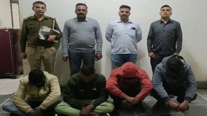 हरियाणा, गाय, हत्या
