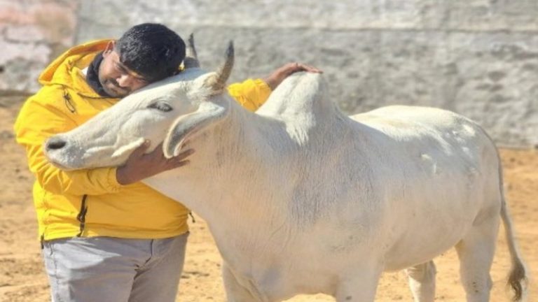 ‘गोली मारी गई, झूठे केस में फँसाने की हुई कोशिश’: कौन है मोनू मानेसर, जिसका पुलिस से भी तगड़ा है नेटवर्क, भिवानी मामले में आया नाम