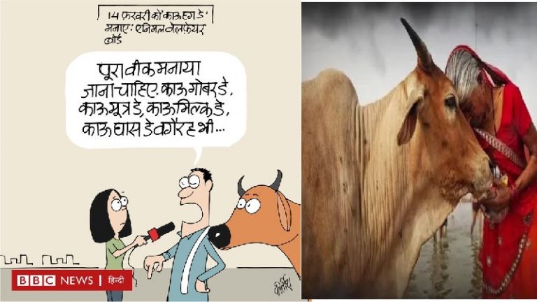 गाय पर कार्टून… मतलब BBC को हुआ बवासीर: कभी ‘बहनोई’ आतंकवादी के लिए उमड़ा था प्यार, अब लंदन में मिल रही गालियाँ
