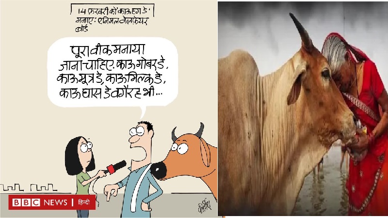 गाय पर कार्टून… मतलब BBC को बवासीर: 'बहनोई' आतंकी के लिए उमड़ा था प्यार