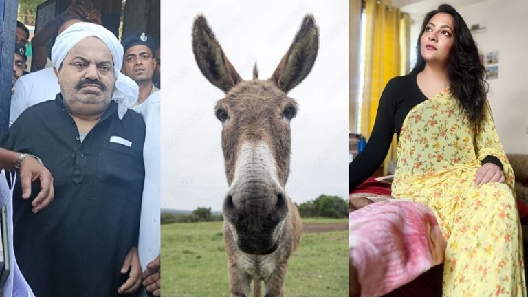मेनस्ट्रीम मीडिया की ‘मूत्रकारिता’ के बाद The Wire की ‘खच्चरकारिता’: आरफा ने माफिया की महिमा गाते हुए खेला OBC कार्ड