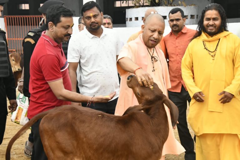होली मतलब न कोई जाति और न ही कोई वर्ग या क्षेत्रीय विभाजन: CM योगी आदित्यनाथ ने गोरखनाथ मंदिर में ऐसे मनाई होली