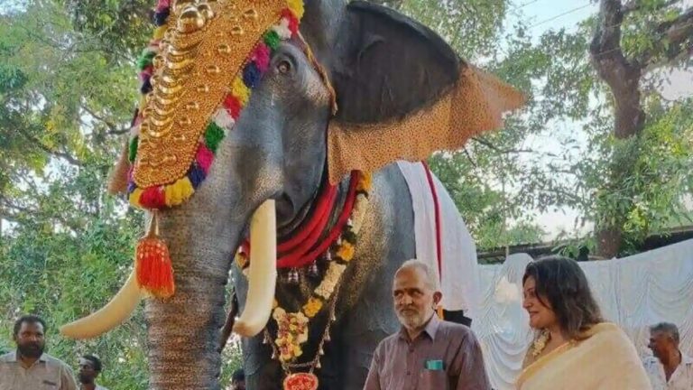 800 किलो वजन, 11 फीट ऊँचाई: केरल के मंदिर में अनुष्ठान पूरे करवाने आया पहला रोबोटिक हाथी, कीमत ₹5 लाख
