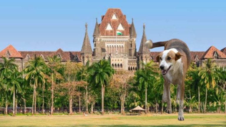 ‘डंडे दिखाकर कुत्तों को डराने वाले सुरक्षाकर्मियों पर कार्रवाई करे सोसायटी’: बॉम्बे हाईकोर्ट ने दिया निर्देश, कहा- यह पशु क्रूरता है