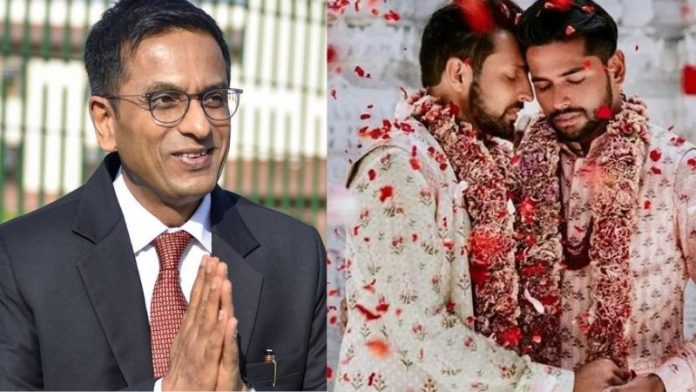 CJI चंद्रचूड़ की अध्यक्षता में समलैंगिक विवाह पर सुनवाई