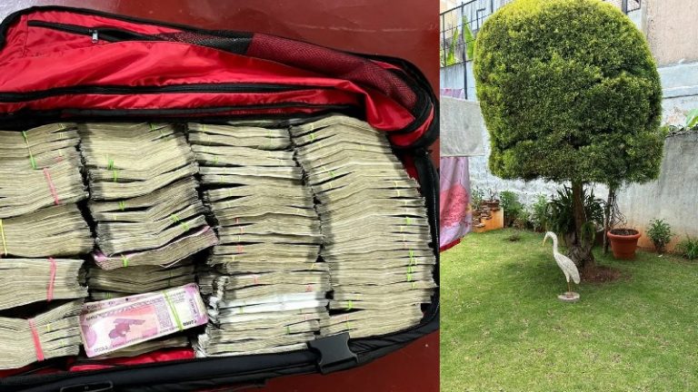 कर्नाटक में पेड़ की टहनियों से झड़े करारे-करारे नोट, कॉन्ग्रेस प्रत्याशी के भाई के घर पर IT विभाग ने मारी थी रेड: देखिए Video
