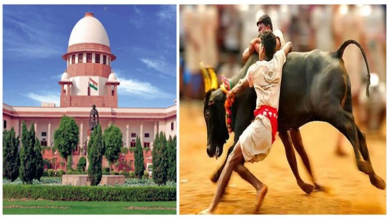 जारी रहेगा जल्लीकट्टू: सुप्रीम कोर्ट ने बताया- तमिल सांस्कृतिक विरासत का हिस्सा, कर्नाटक-महाराष्ट्र में भी गोवंश से जुड़े पारंपरिक खेलों की अनुमति