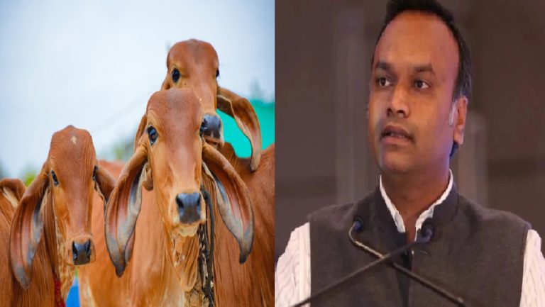 ‘गौरक्षकों’ को लात मारकर जेल में डालो: बकरीद से पहले कॉन्ग्रेस अध्यक्ष मल्लिकार्जुन खड़गे के मंत्री बेटे का कर्नाटक पुलिस को आदेश