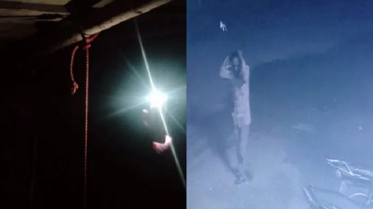 बजरंग दल कार्यकर्ता के गर्भवती गाय से उस्मान खान ने की रेप की कोशिश, गुप्तांग में मारा ब्लेड: CCTV में कैद हुई घटना
