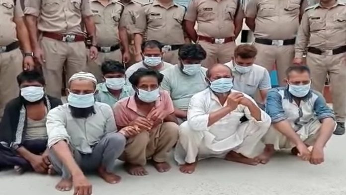 उत्तराखंड बंदर जहर