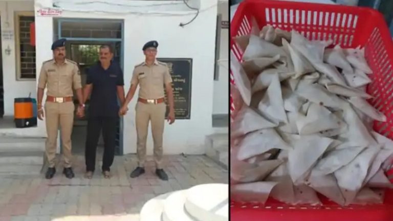 झील किनारे गोमाँस भरकर समोसे बेच रहा था अहमद, गुजरात पुलिस ने दबोचा: 20 दिन में दूसरा मामला, पहले इस्माइल हुआ था गिरफ्तार