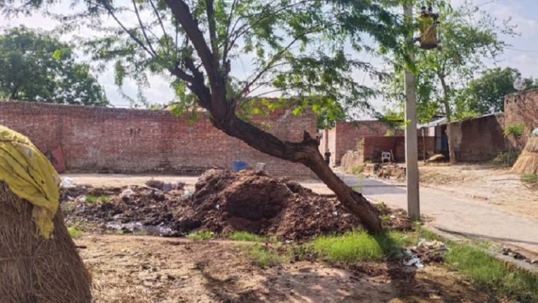 बबूल पेड़ पर हुए झगड़े को ‘दलित का लिंग काटा’ बता दिया जातीय रंग, जिस पीड़ित परिवार के गाँव छोड़ भागने का दावा वे ऑपइंडिया को घर में ही मिले