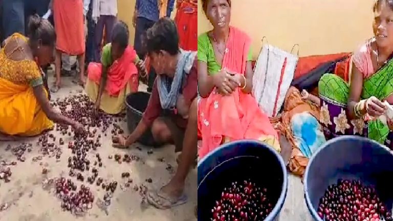 फ्री में नहीं मिला जामुन, इसलिए जनजातीय महिला की पूरी टोकरी फेंकी: बिहार पुलिस के जवान पर लगा आरोप, जमुई पुलिस ने बताई ‘हकीकत’ कुछ अलग