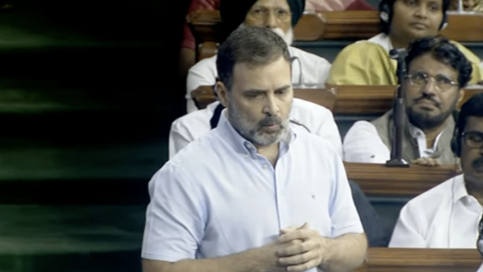 राहुल गाँधी, लोकसभा, संसद