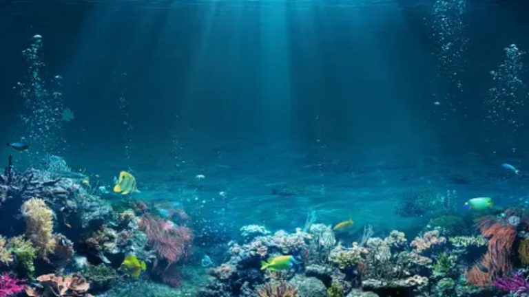 अंतरिक्ष के बाद अब समुद्र की गहराइयों में उतरेगा भारत, 6 किलोमीटर गहराई में जाने के लिए बनाया ‘MATSYA 6000’, वैज्ञानिक जाकर करेंगे अध्ययन