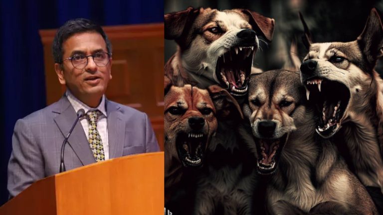 ‘5 कुत्तों ने मिल कर मुझ पर हमला किया’: हाथ में पट्टी बाँध कर सुप्रीम कोर्ट पहुँचा वकील तो CJI ने पूछा क्या हुआ, रेबीज से बच्चे की मौत का मामला भी उठा