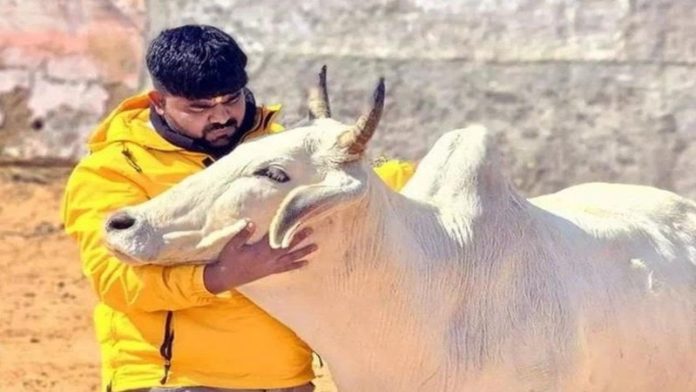 हरियाणा पुलिस मोनू मानेसर