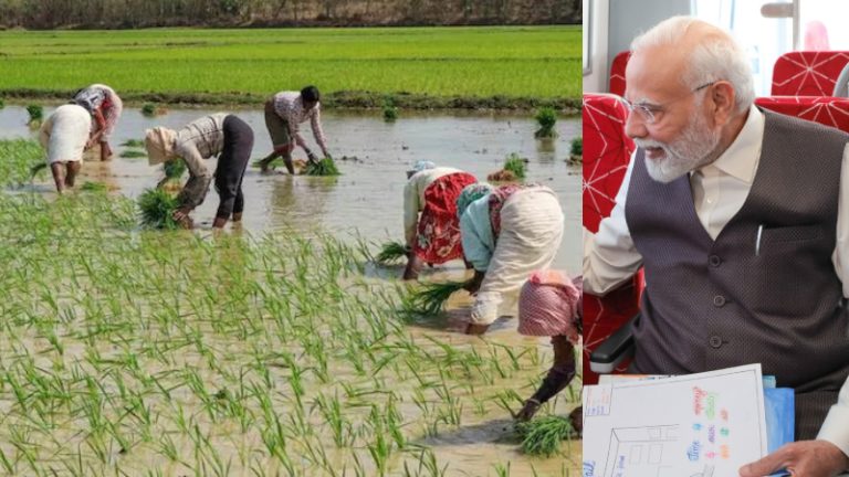 किसानों को मोदी सरकार का बड़ा तोहफा, खाद पर बढ़ाई गई सब्सिडी: कैबिनेट ने ₹22300 करोड़ के प्रस्ताव को दी मंजूरी, रबी फसल उपजाने वालों को बड़ी राहत