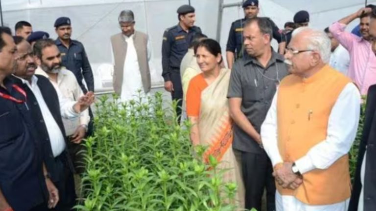 फसलों में विविधता लाइए, सरकार से पैसा पाइए… हरियाणा की खट्टर सरकार का किसानों को तोहफा: 42000 करोड़ लीटर पानी भी बचेगा, पर्यावरण की होगी रक्षा