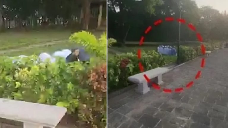जूनागढ़ के ऐतिहासिक ‘ऊपरकोट किले’ में नमाज पढ़ रहे थे मुस्लिम, वीडियो वायरल: सयाजीराव यूनिवर्सिटी में भी हो चुकी हैं ऐसी कई घटनाएँ
