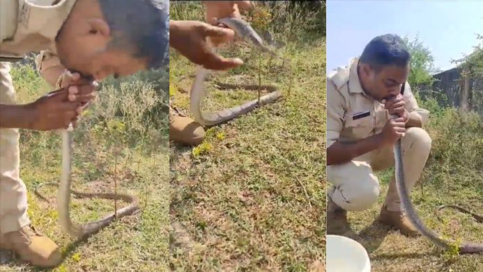 सांप सीपीआर मध्य प्रदेश