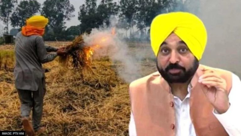 ‘राजधानी में प्रदूषण की सबसे बड़ी वजह पराली जलाना’: पंजाब के मुख्य सचिव को NGT का नोटिस, इस साल 63% बढ़ गए मामले
