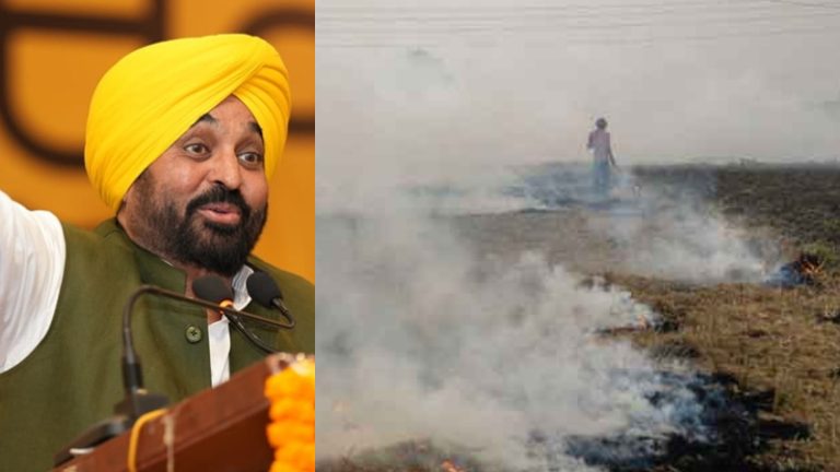 पंजाब में एक सप्ताह में पराली जलाने के 10000 मामले, टॉप पर CM भगवंत मान का गृह जिला: यूपी-हरियाणा को दोष दे रहे AAP के मंत्री, आँकड़े कह रहे कुछ और