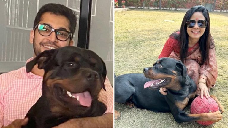 अब कुत्ते के साथ नहीं रहेंगी महुआ मोइत्रा: वकील जय अनंत के घर पहुँचा ‘हेनरी’, TMC महिला सांसद ने मानी हार?