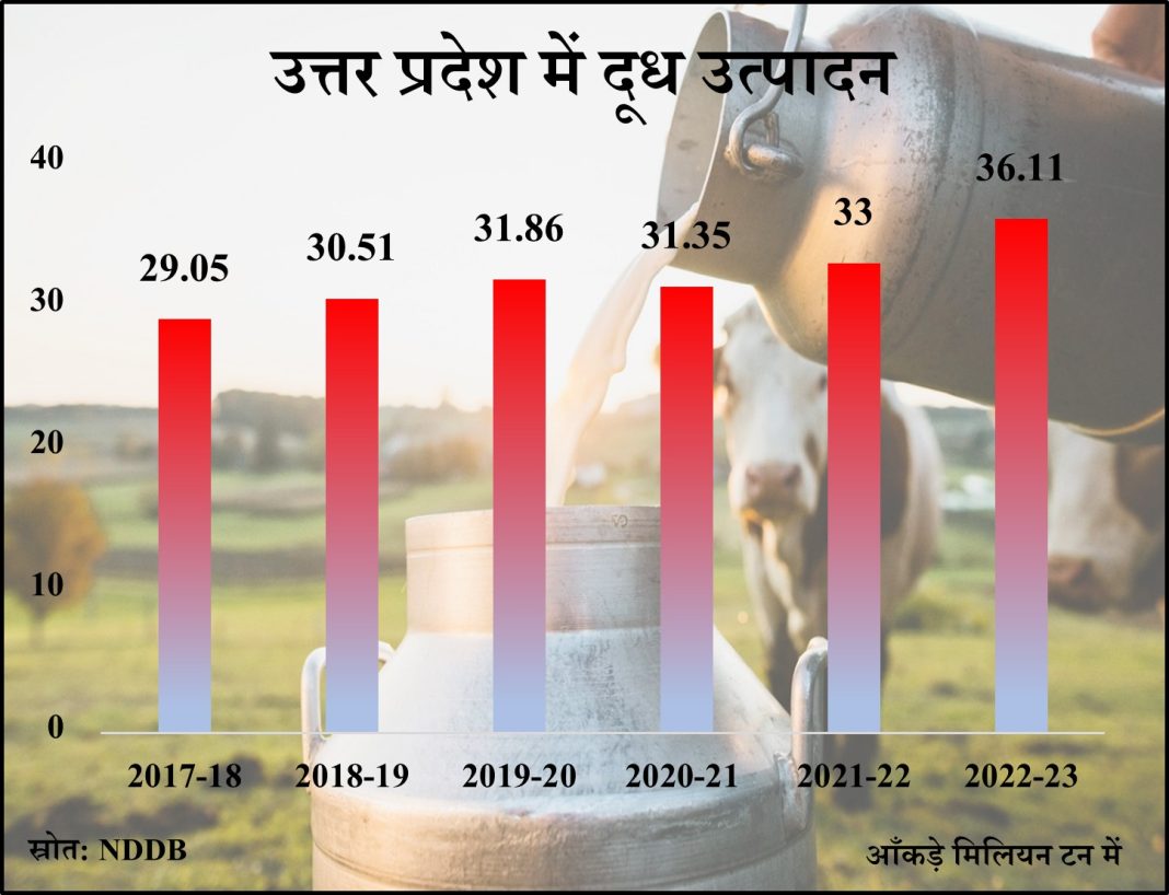 उत्तर प्रदेश देश में सबसे अधिक दूध उत्पादित करता है। (BG साभार: The Statesman)
