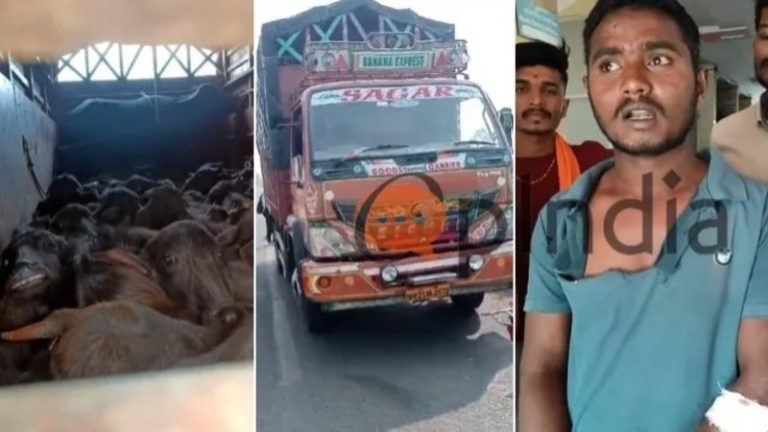 सतारा में गोरक्षकों पर पशु तस्करों का हमला; हिन्दू संगठन के सदस्य को घोंपी गई चाकू… फर्जी कागजात से हो रही थी मवेशियों की तस्करी