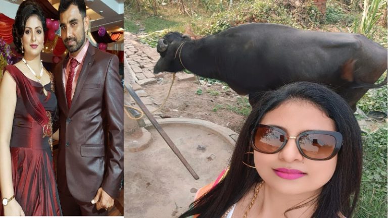 अमरोहा का भैंसा… पहले दूध पियूँगी, फिर मीट खाऊँगी: मोहम्मद शमी की बीवी ने किया पोस्ट, लोग बोले- तुझे डॉक्टर की जरूरत