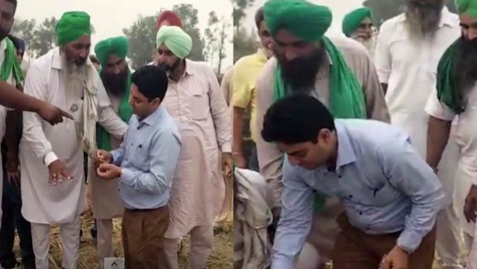 पंजाब में सरकारी अधिकारी से लगवाई पराली में आग