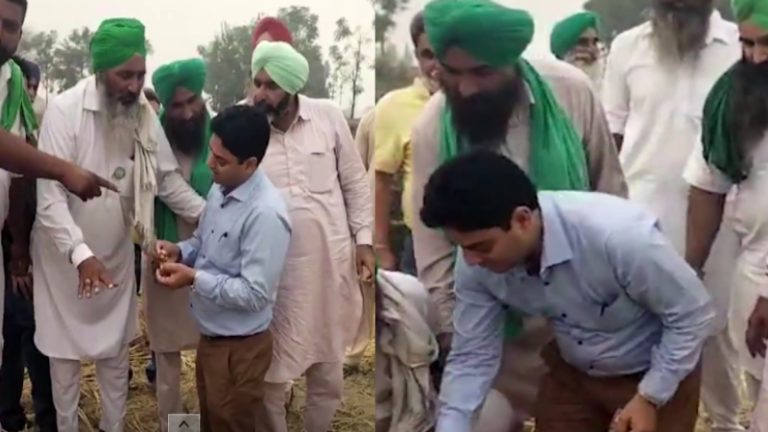 सरकारी अधिकारी बोलने गए थे पराली मत जलाओ, किसानों ने उन्हीं के हाथों लगवा दी आग: पंजाब का वीडियो वायरल