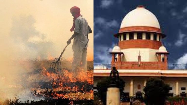 ‘किसी तरह रोको पराली जलाना, ये राजनीतिक मसला नहीं’: पंजाब सरकार को सुप्रीम कोर्ट ने चेताया, केजरीवाल सरकार से पूछा – कब चालू होगा स्मॉग टॉवर?