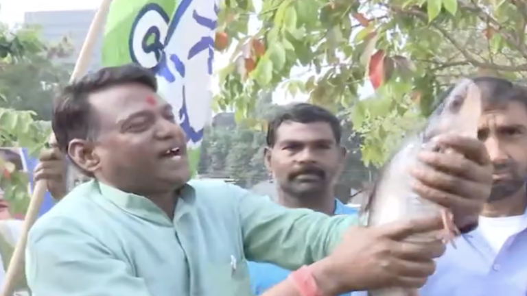 RJD वालों का ‘शुभ संकेत’ कॉन्ग्रेस के लिए हो गया अशुभ: छत्तीसगढ़ में ज़िंदा मछली लेकर जश्न मनाने पहुँचे लालू की पार्टी के नेता, फिर हारने लगी कॉन्ग्रेस