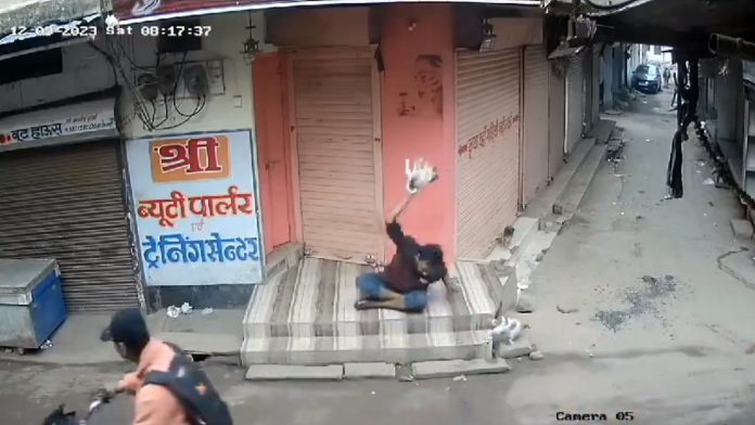 पिल्ले के साथ निर्दयता