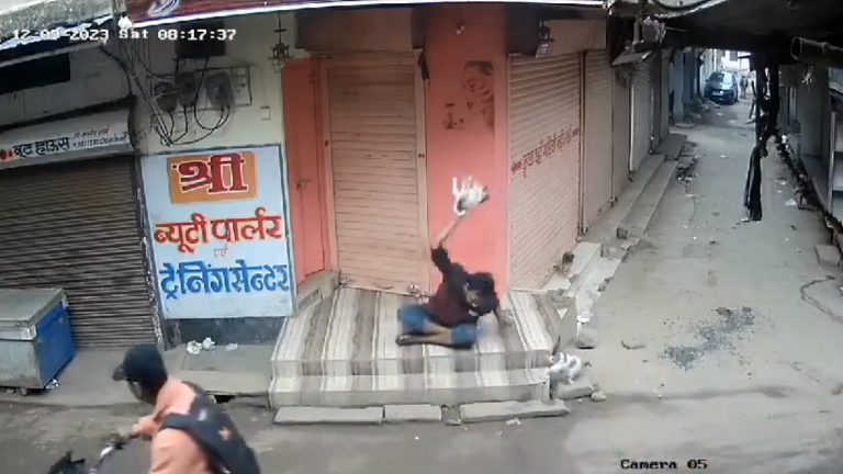 मासूम पिल्ले को पकड़कर पटका रोड पर, फिर पैरों से कुचलकर ले ली जान: CCTV में रिकॉर्ड हुई वीभत्सता, CM शिवराज बोले- होगी सख्त कार्रवाई