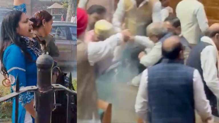 बाल नोचे, जूते बरसाए, दनादन दिए मुक्के… लोकसभा में घुसे युवक को 11 सांसदों ने मिल कर कूटा, बाहर साथियों ने लगाए ‘जय भीम’ के नारे