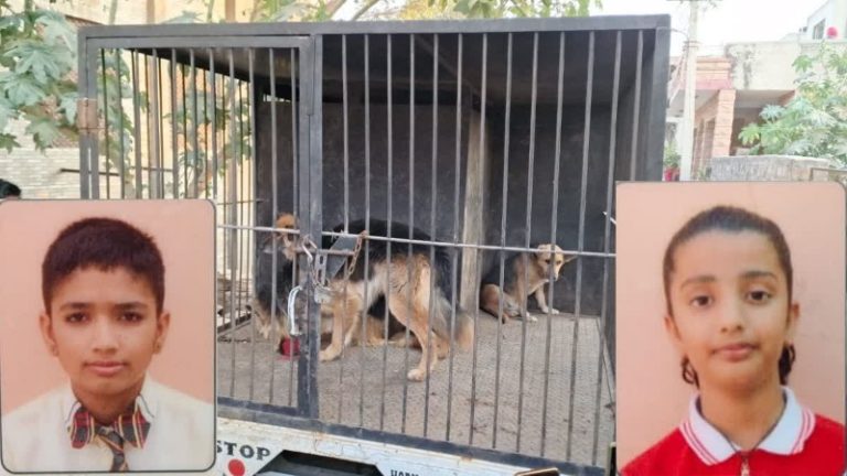 टाइल्स कारोबारी के 3 पालतू कुत्तों ने स्कूली बच्चों को दौड़ाया, ट्रेन से कटकर भाई-बहन की मौत: राजस्थान में हादसे के बाद पुलिस ने दर्ज की FIR