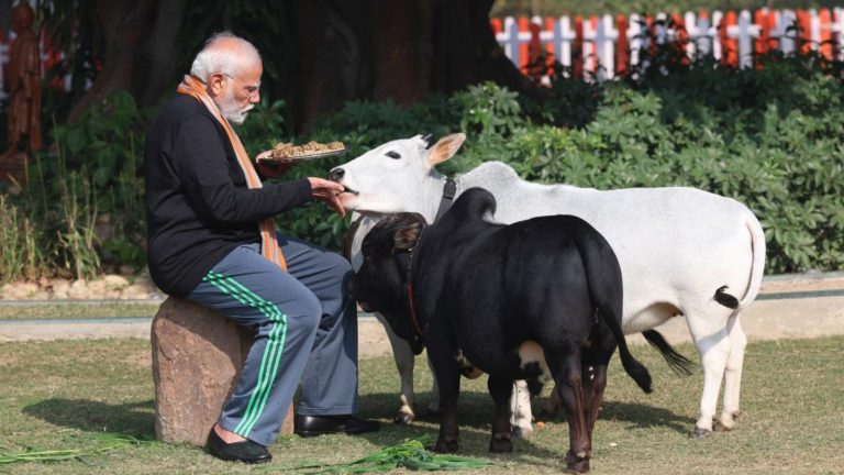 प्रधानमंत्री आवास में स्वदेशी प्रजाति की गायों को दुलारते PM मोदी, अपने हाथ से खिलाया चारा: सोशल मीडिया पर वायरल हुई तस्वीरें