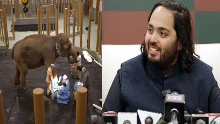 ब्याह से पहले अनंत अंबानी ने बसाया पशुओं का घर, 3000 एकड़ में फैला है ‘वनतारा’; 2000+ जानवरों का रेस्क्यू: बोले- हिंदू धर्म यही सिखाता है