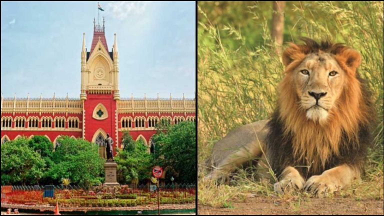 ‘क्या अपने पालतू जानवर का नाम हिन्दू देवी या मुस्लिम प्रोफेट के नाम पर रखोगे?’: कलकत्ता हाई कोर्ट ने बंगाल सरकार से कहा- बदलो शेर और शेरनी का नाम