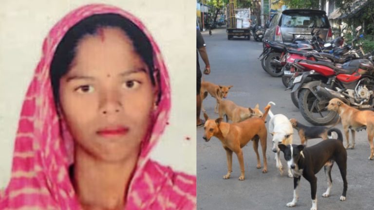 गाय के लिए चारा लेने निकली थी महिला, 20 आवारा कुत्तों ने नोच डाला: जानवर के कंकालों के बीच मिली लाश, ग्रामीणों ने खौफ में घर से निकलना बंद किया