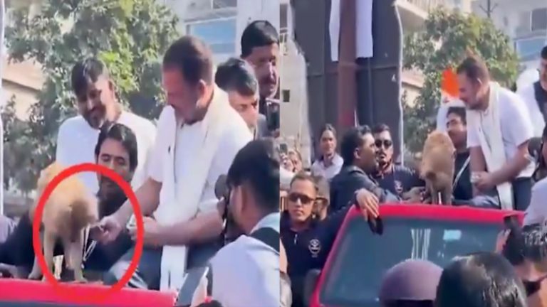 राहुल गाँधी ने पहले बिस्किट कुत्ते के मुँह में लगाया, फिर काॅन्ग्रेस कार्यकर्ता को खिलाया: असम के CM बोले इसी कारण छोड़ी थी पार्टी