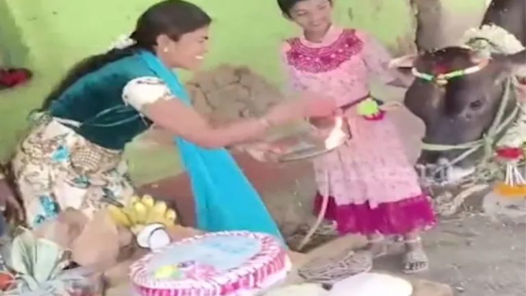 कर्नाटक में गर्भवती गाय का ‘बेबी शॉवर’, पूरे मोहल्ले और रिश्तेदारों को आमंत्रित कर महिला ने ग्रैंड स्टाइल में मनाया जश्न