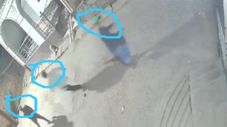 हिन्दुओं के घरों पर पत्थरबाजी, पलट दी अभिमन्यु की दुकान: अधिकतर हमलावर मुस्लिम नाबालिग, बोले पीड़ित- पलायन के लिए किया जा रहा मजबूर