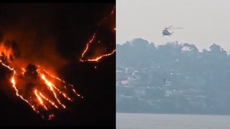 6 महीने में आग लगने की 565 घटनाएँ, 690 हेक्टेयर वन क्षेत्र प्रभावित: उत्तराखंड में इस साल भी गर्मियों में वही समस्या, काफी ज्वलनशील होती है चीड़ की पत्तियाँ