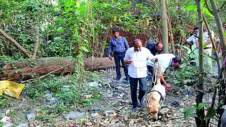 माथे पर सिंदूर-बिंदी, 3 थैले में भरे मिले शरीर के टुकड़े: कोलकाता में महिला के साथ वीभत्सता, हाथ-पैर और पेट का हिस्सा गायब