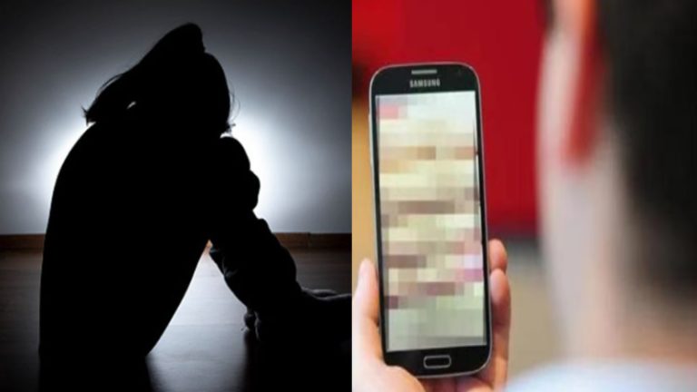 भाई-बहन ने साथ देखा पोर्न, फिर सेक्स की कोशिश: 13 साल के भाई पर 15 साल की बहन से रेप का केस, प्रेग्नेंट होने पर खुला मामला